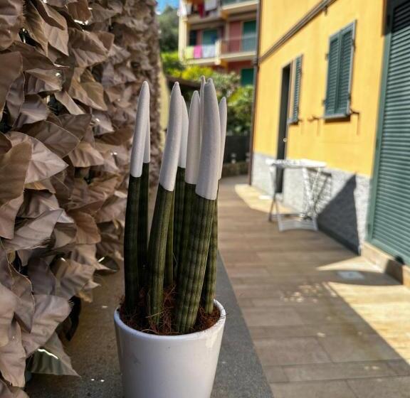 Пансион Camere Margot