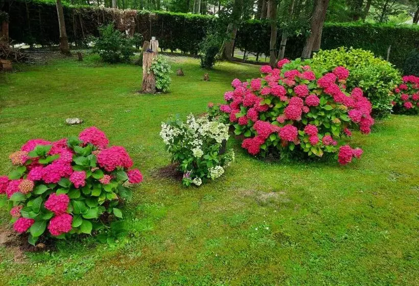 Aamiaismajoitus (B&B) Chambre D Hôte Les Bosquets
