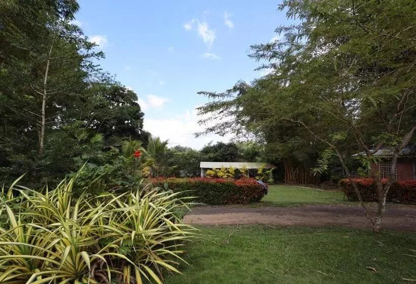 Hotelli Green Path Banquet Hall And Resort