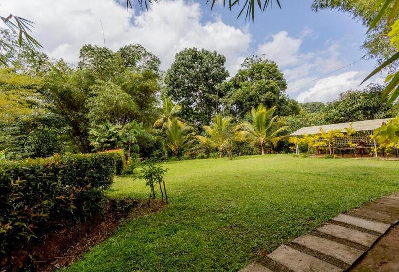 Hotel Green Path   Banquet Hall And Resort