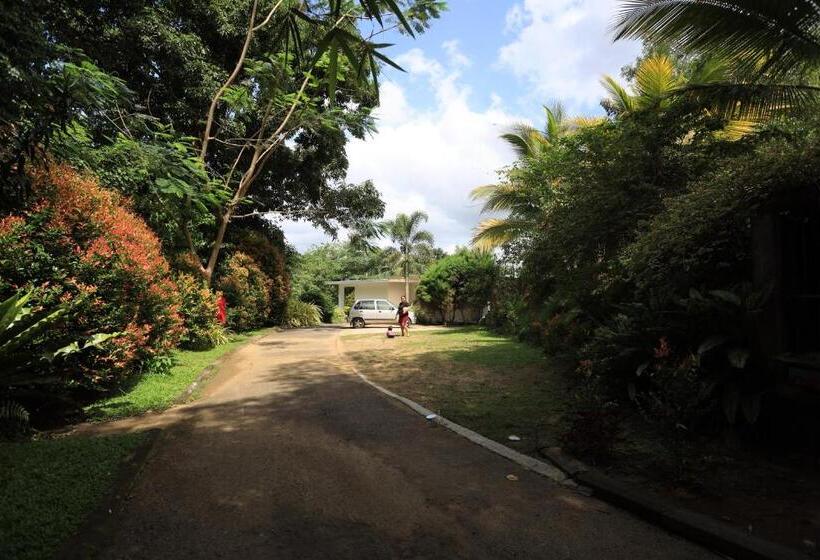 Hotel Green Path   Banquet Hall And Resort