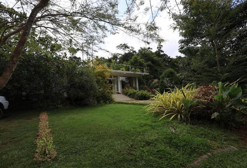 Hotel Green Path   Banquet Hall And Resort