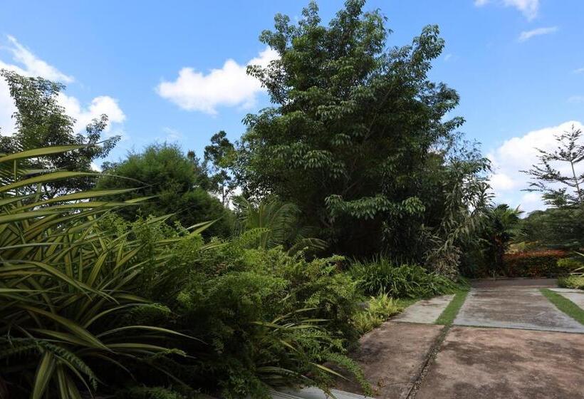 Hotel Green Path   Banquet Hall And Resort