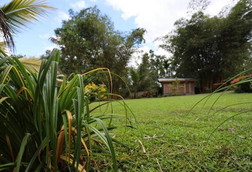 Hotel Green Path   Banquet Hall And Resort