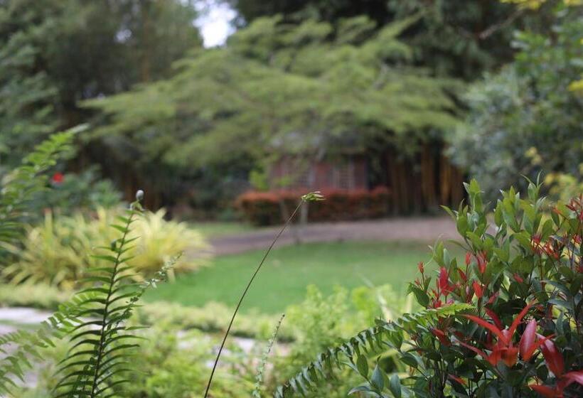 Hotel Green Path   Banquet Hall And Resort