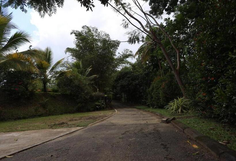 Hotel Green Path   Banquet Hall And Resort