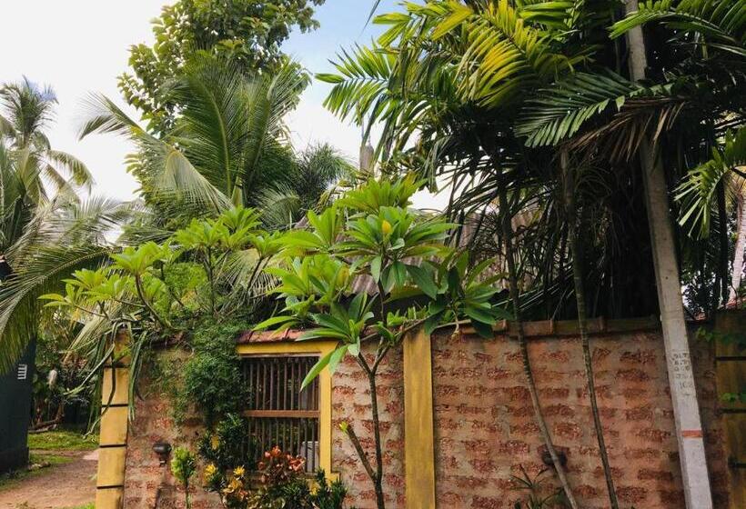 بنسيون Ceylonia Airport Transit