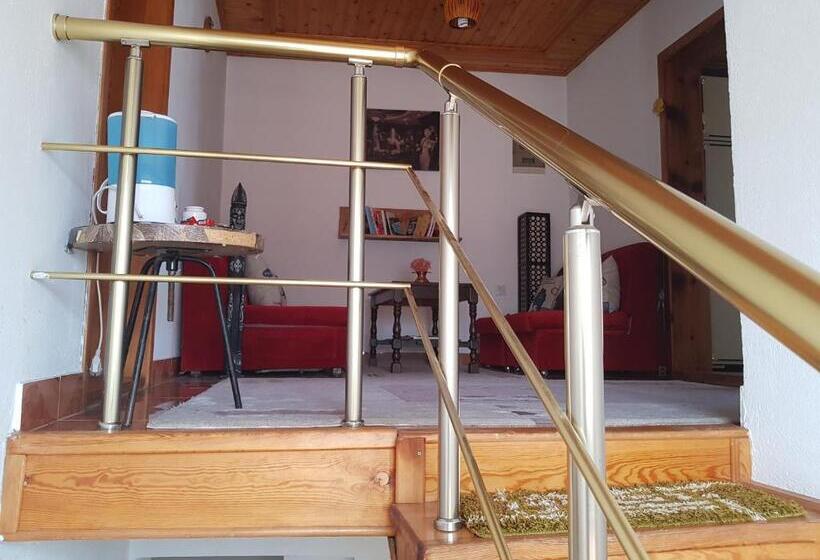 פנסיון Guesthouse Roof