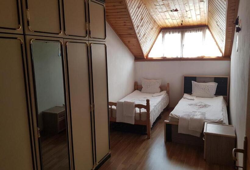 פנסיון Guesthouse Roof