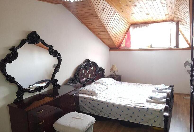 פנסיון Guesthouse Roof