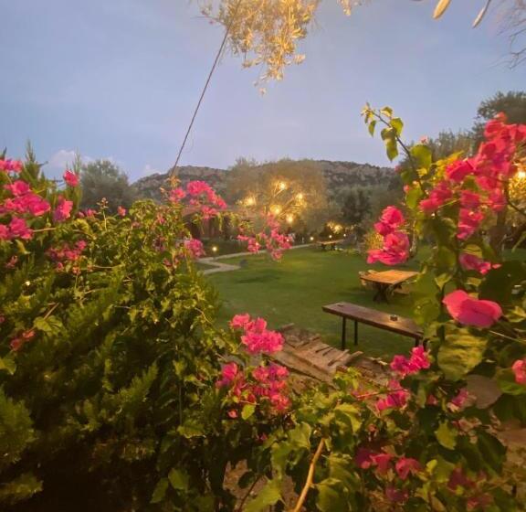 Suzi Nin Bahçesi Bungalov Evler