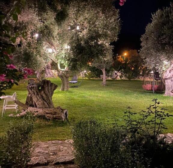 Suzi Nin Bahçesi Bungalov Evler