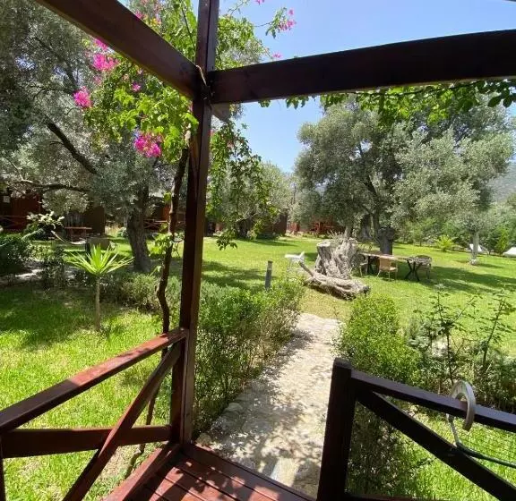 Suzi Nin Bahçesi Bungalov Evler