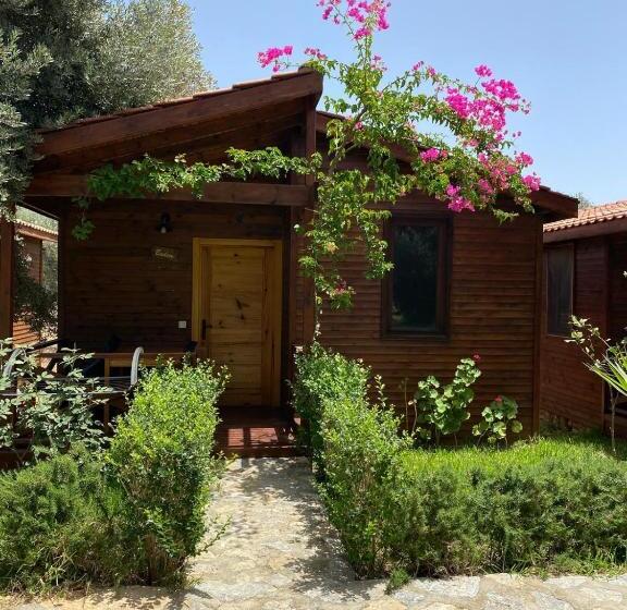 Suzi Nin Bahçesi Bungalov Evler