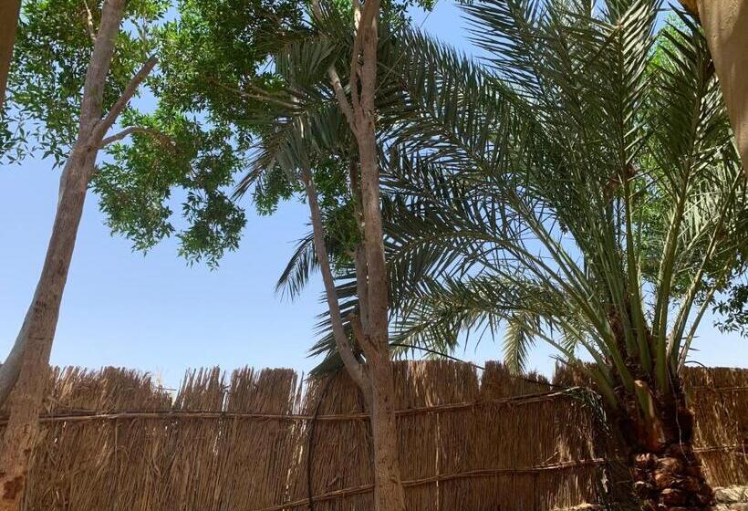 ملاذ Haven Resort Siwa Malath