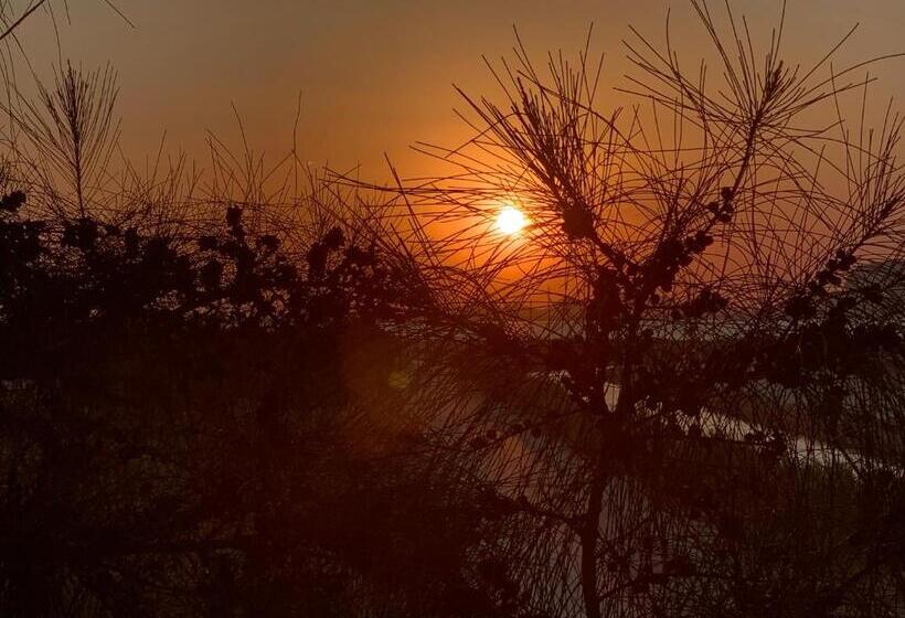 ملاذ Haven Resort Siwa Malath