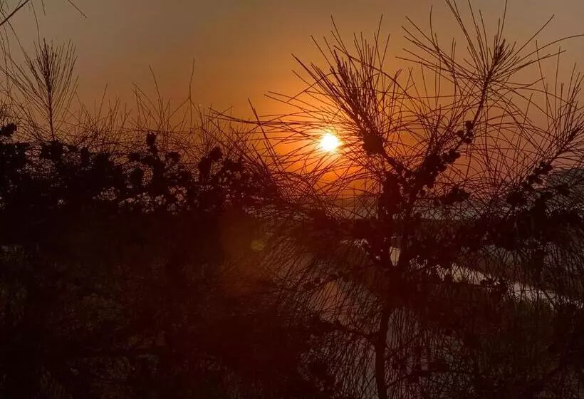 ملاذ Haven Resort Siwa Malath