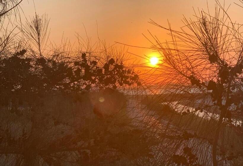 ملاذ Haven Resort Siwa Malath