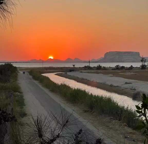 ملاذ Haven Resort Siwa Malath