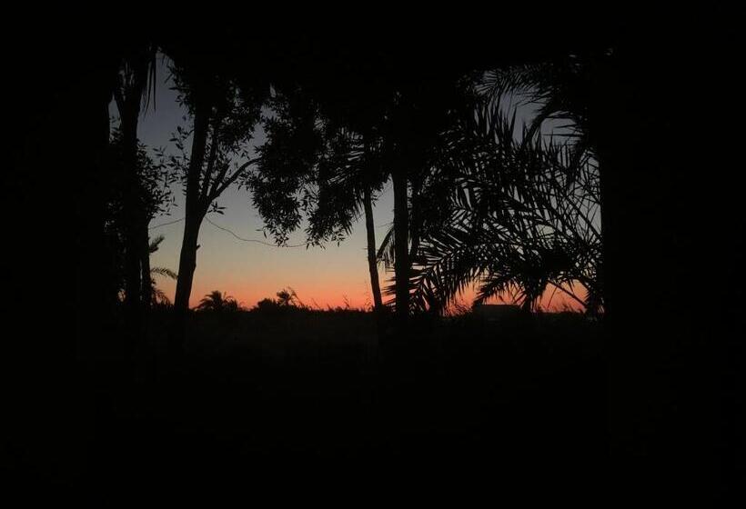 ملاذ Haven Resort Siwa Malath