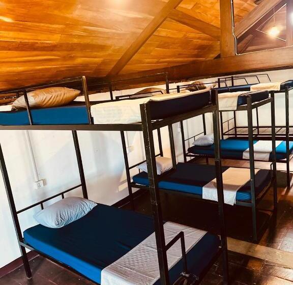 Happy Bunk Hostel Weligama