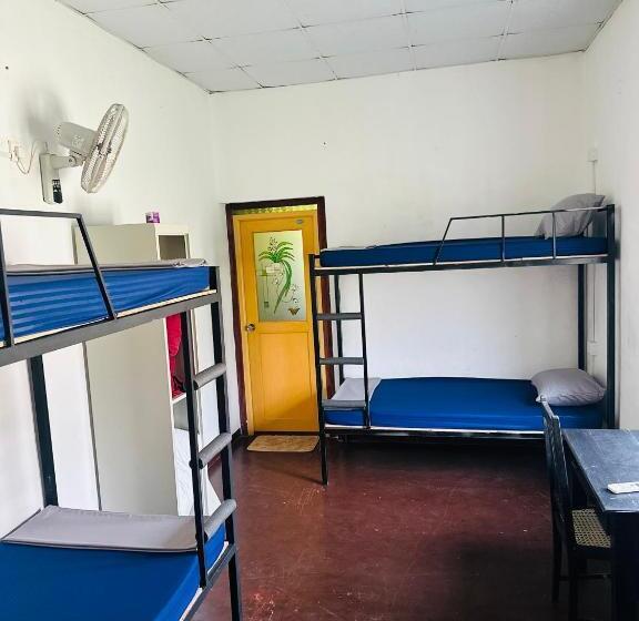Happy Bunk Hostel Weligama