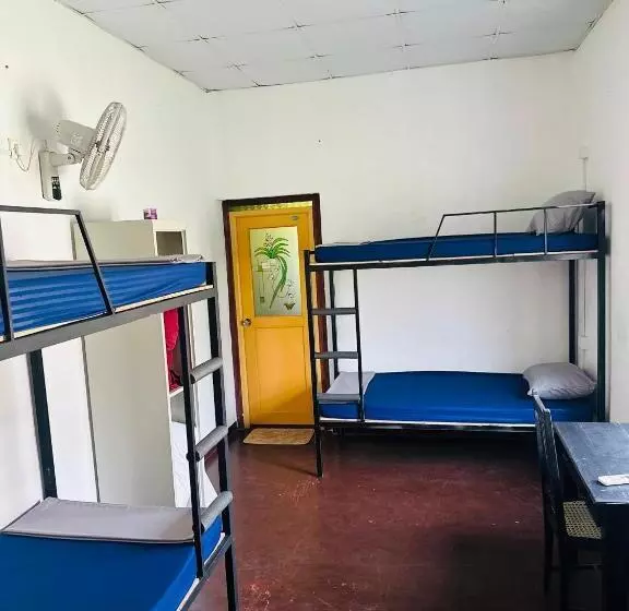 Happy Bunk Hostel Weligama