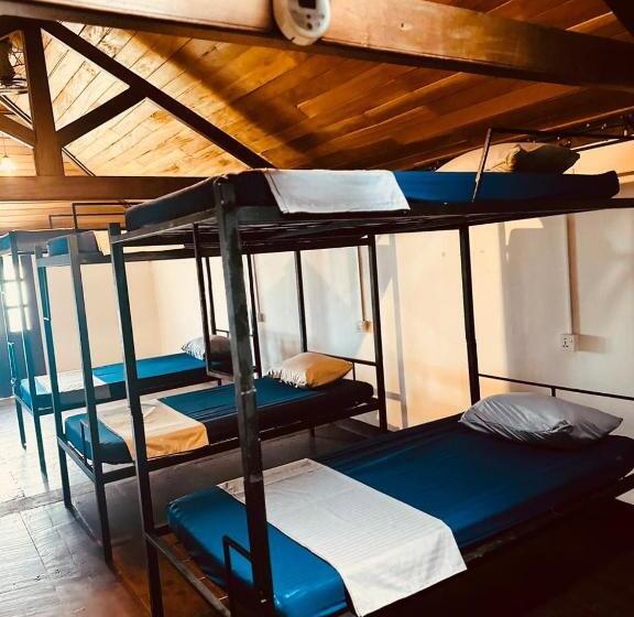 Happy Bunk Hostel Weligama