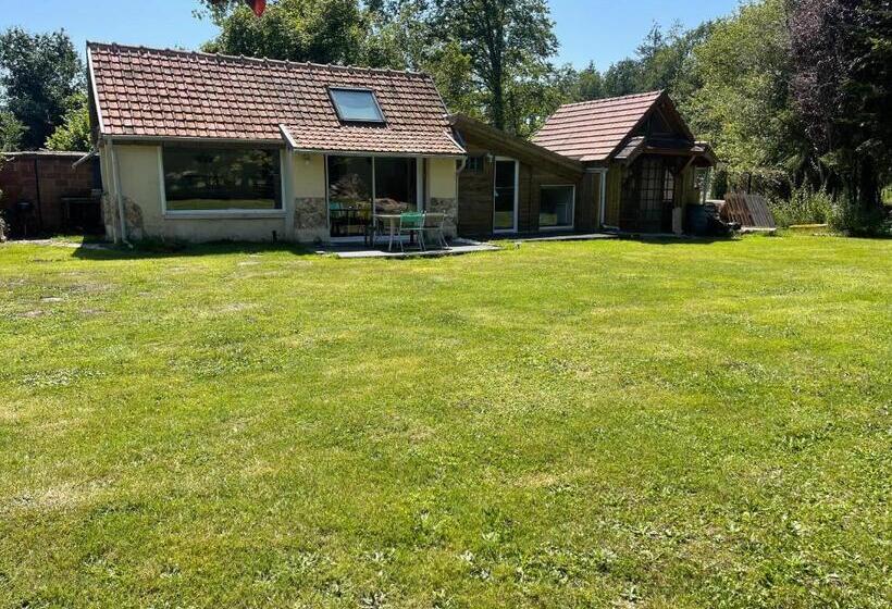 膳宿费 Adlibitum 2