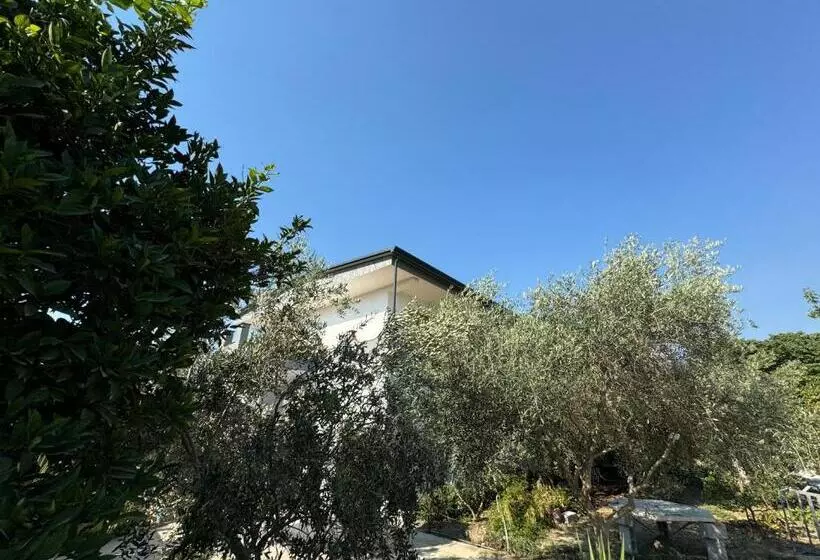 پانسیون Aloju Rooms