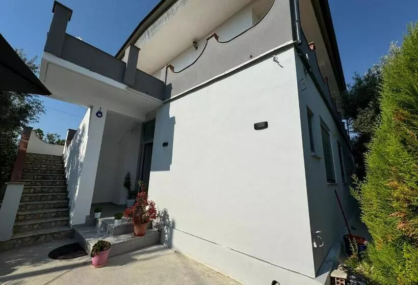 پانسیون Aloju Rooms