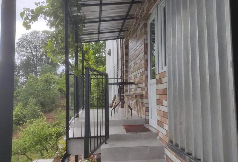 پانسیون Guest House Lia