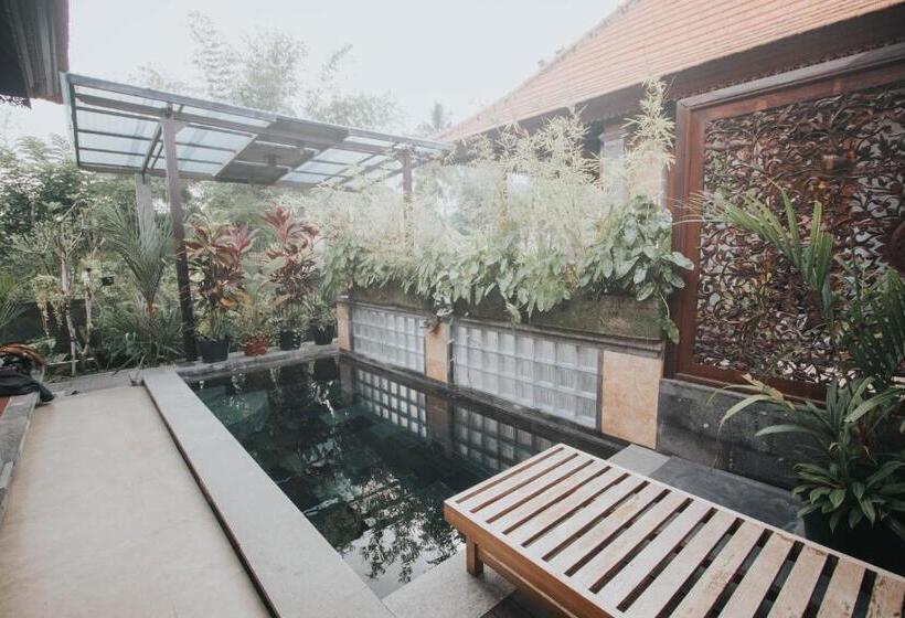 膳宿费 Nalima Villa