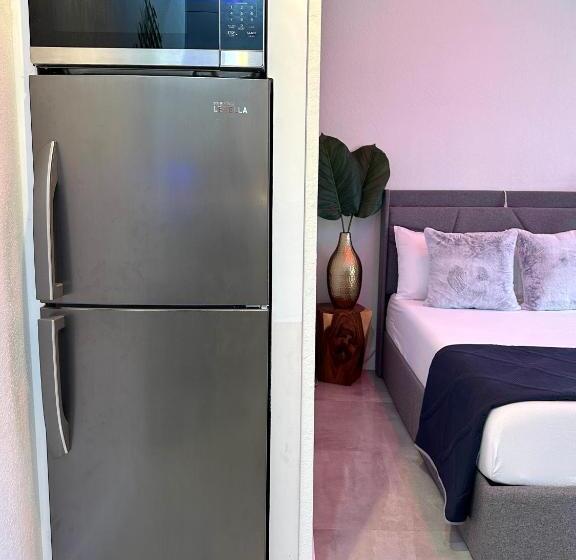 膳宿费 Tropical Studio