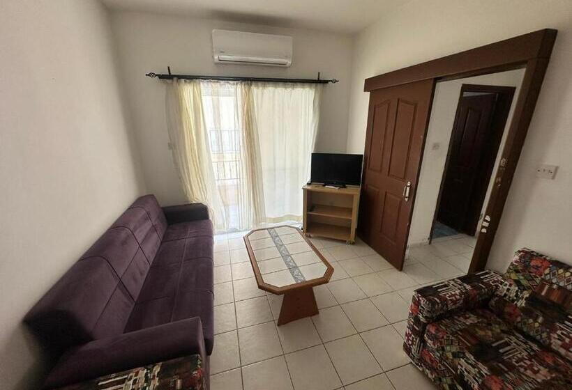 şadan City Inn Hotel Concept