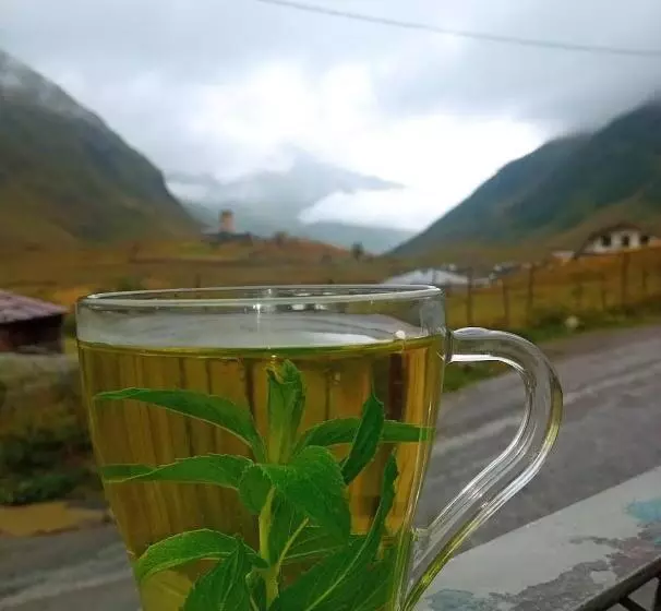 پانسیون Guest House Cafe Nita