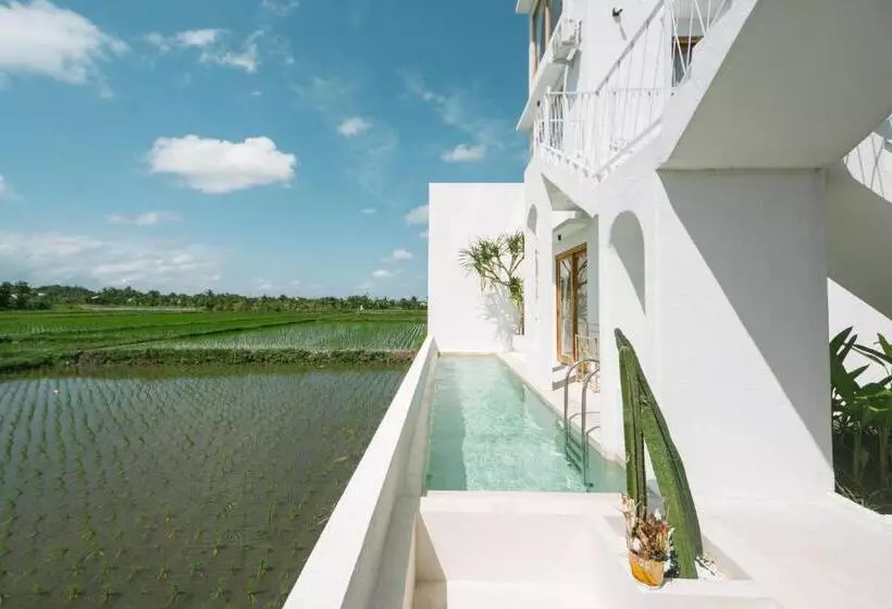ペンション Morroi Villas Tanah Lot