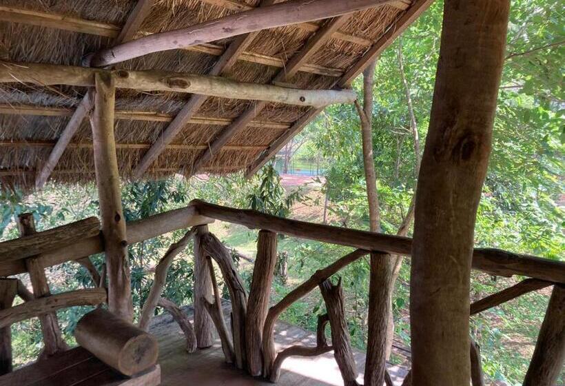 Albergue Siyonara Banglow