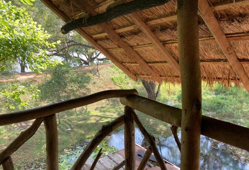 Albergue Siyonara Banglow