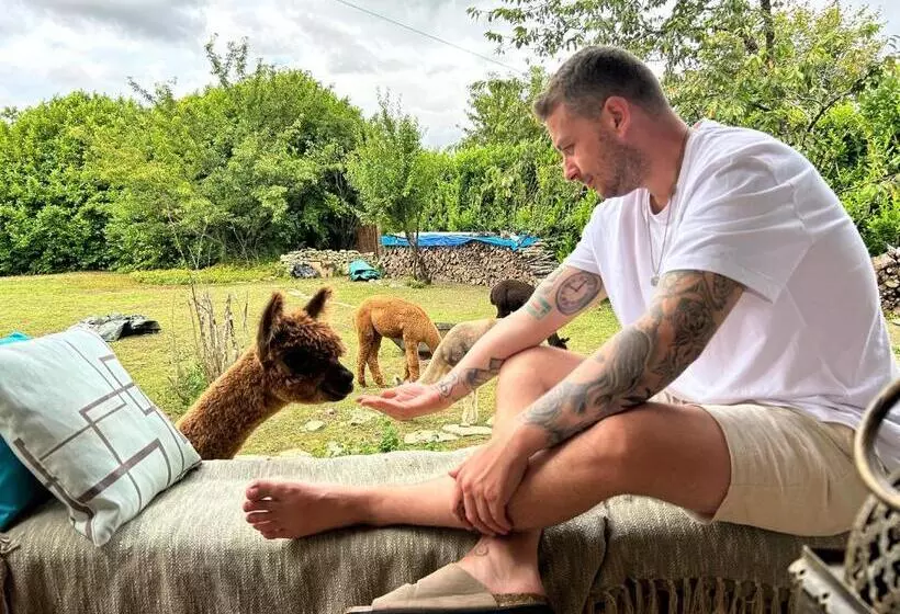 Aamiaismajoitus (B&B) Nana Mac Chambre D Hôtes