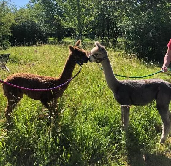 Aamiaismajoitus (B&B) Nana Mac Chambre D Hôtes