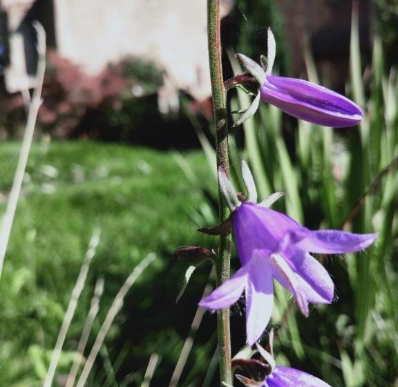 Bed and Breakfast Rectoria Nova