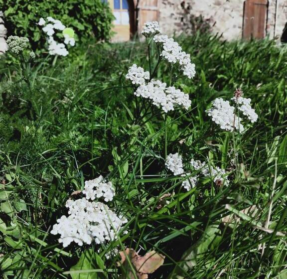 Bed and Breakfast Rectoria Nova