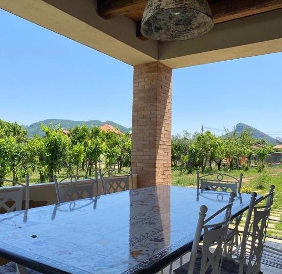 Bed and Breakfast Terra Vitale