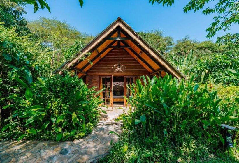 Hotel Under The Shade Safari Lodge