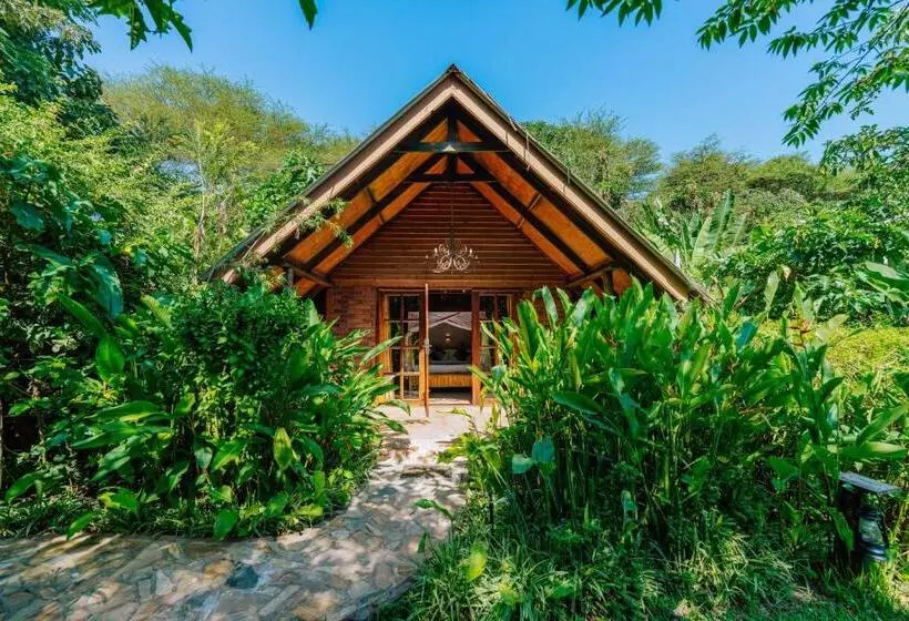 Hotelli Under The Shade Safari Lodge