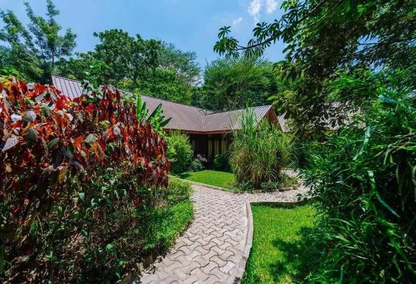 Hotelli Under The Shade Safari Lodge