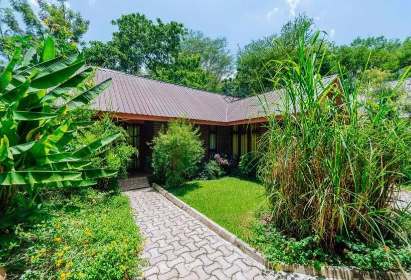 Hotelli Under The Shade Safari Lodge