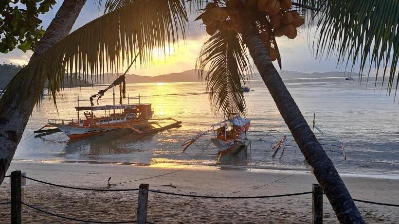 Hotel The View Jungle Lodges Port Barton