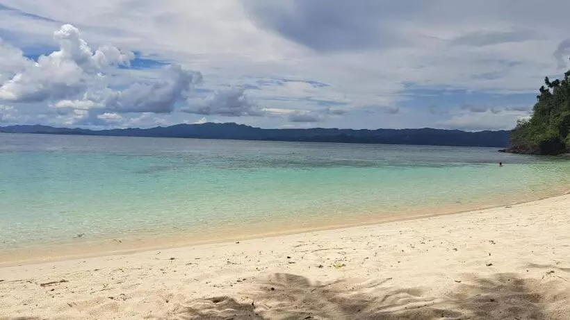 Hotelli The View   Jungle Lodges   Port Barton